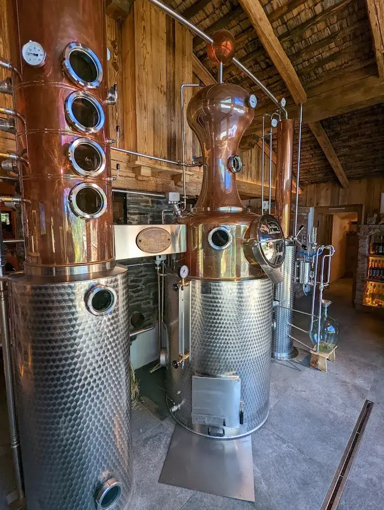 D Vetrano_Grünegg Alm & Hochkönig Edelbrennerei_Dienten am Hochkönig_avis