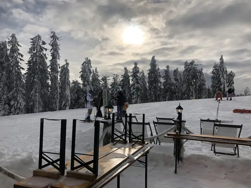 Erik Cotman_Gabühelhütte_Dienten am Hochkönig_review
