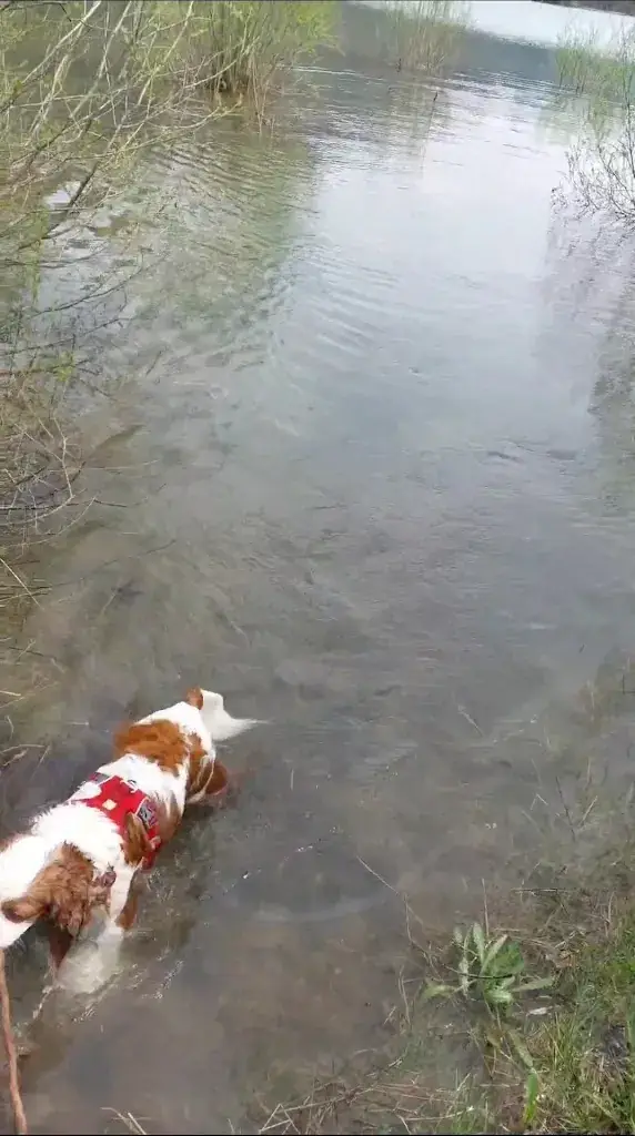 Cindy Tong_Hotel Fischerwirt | Natur.WaldSPA | Faistenau_Faistenau_recensione