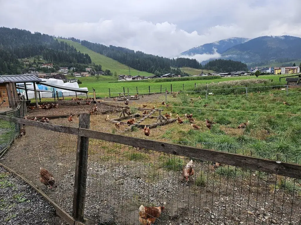 Niels B_Dorfalm Flachau_Flachau_review