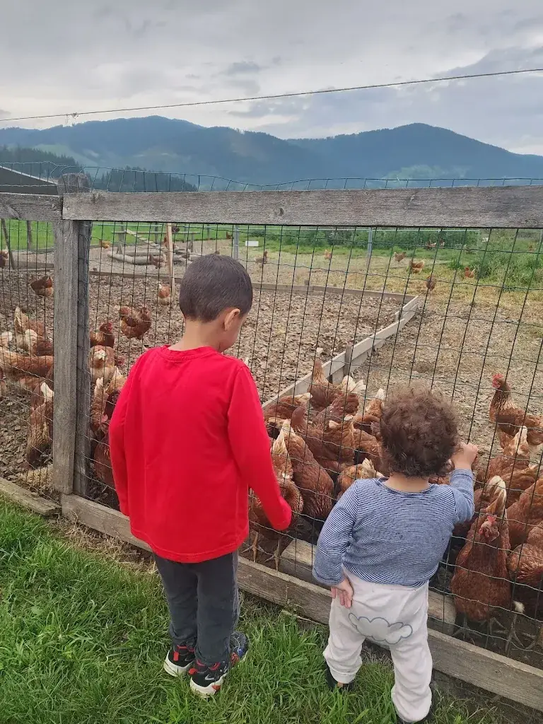 Mor Adiv_Dorfalm Flachau_Flachau_review