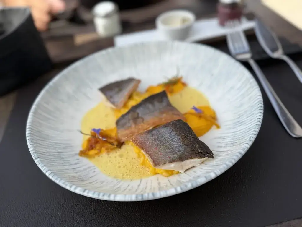 Jiri Halousek_der Guster_Filzmoos_recensione