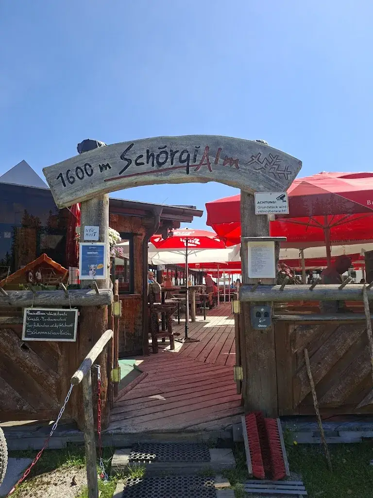 Schörgi Alm Filzmoos_Filzmoos_slider_image_2