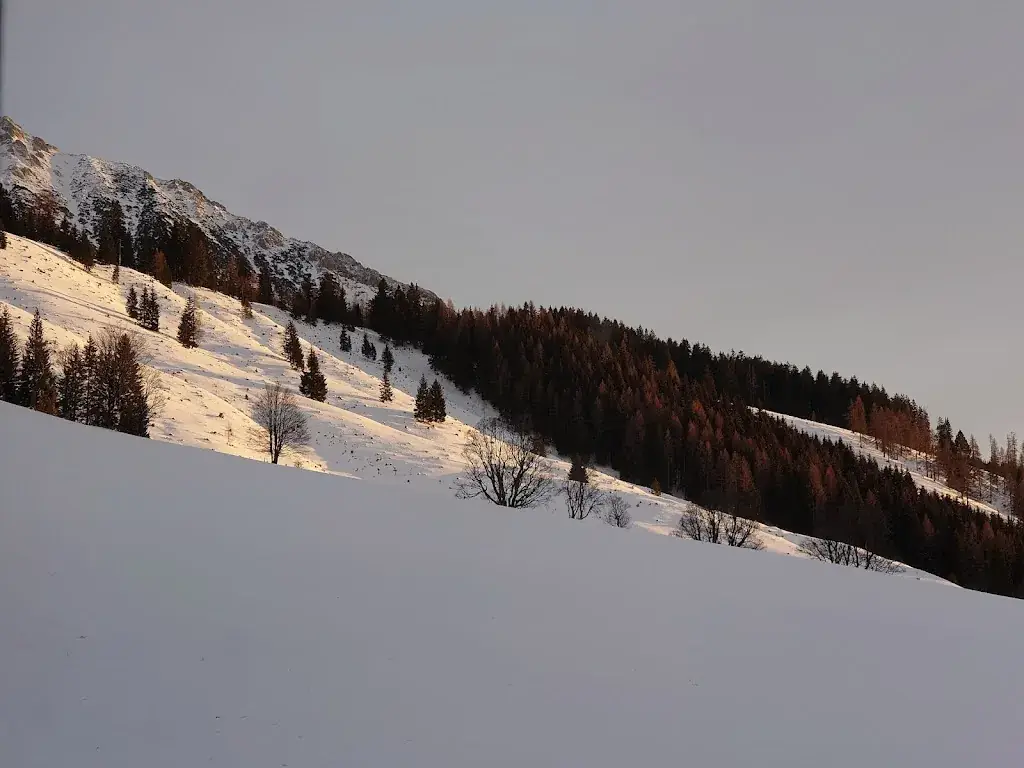 Laura K._Oberhofalm_Filzmoos_review