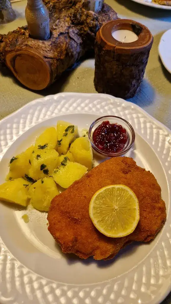 Maartje Vergeer_Gasthaus Geierhäusl Frahndl_Filzmoos_recensione