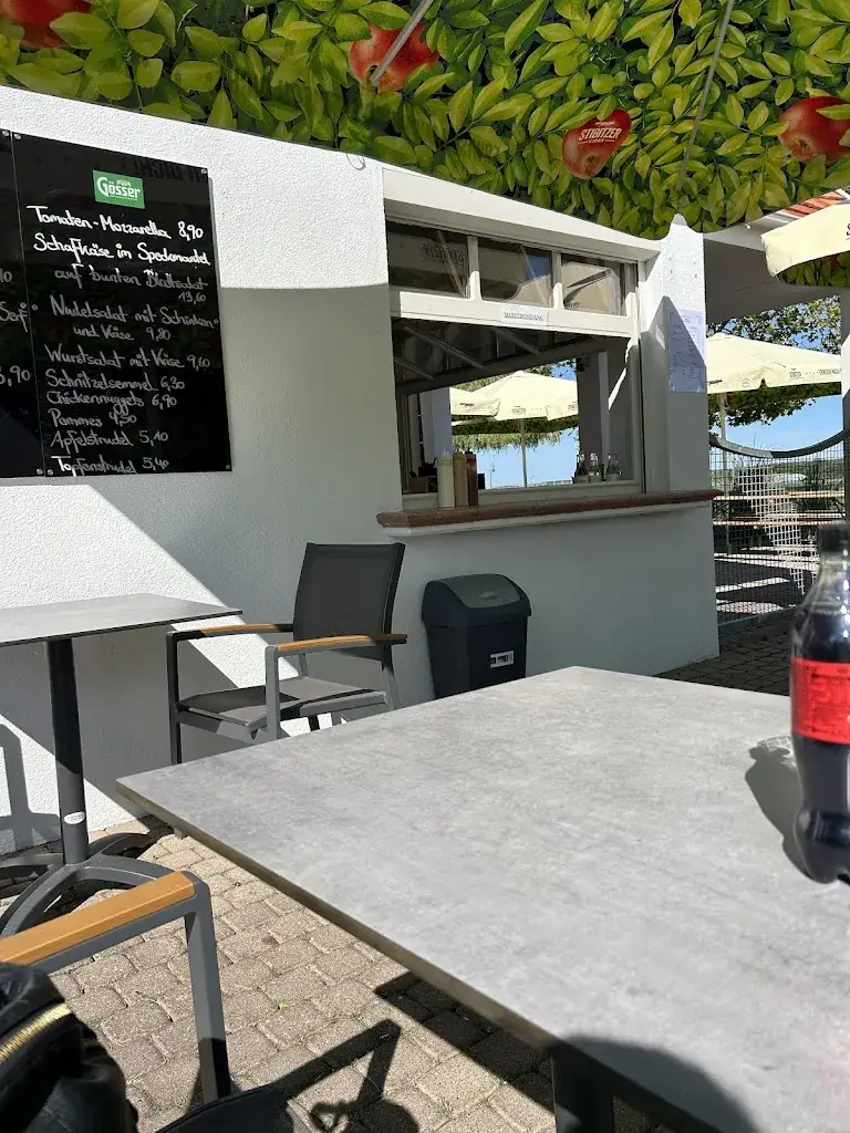 Milan Desits_SeeBiss_Mörbisch am See_recensione