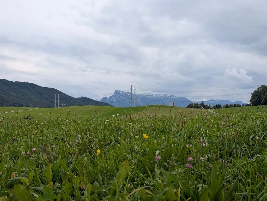 Mitraputra Ganguli_Hotel Gasthof Neuwirt_Eugendorf_recensione