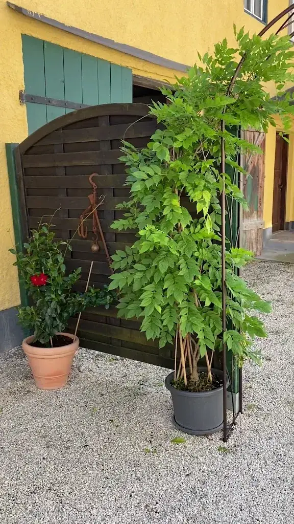 Landgasthof Rechenwirt_Elsbethen_slider_image_2