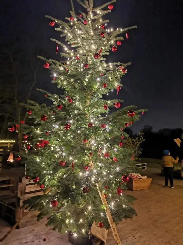 Yewei_Hecht und Sonne_Eching_recensione