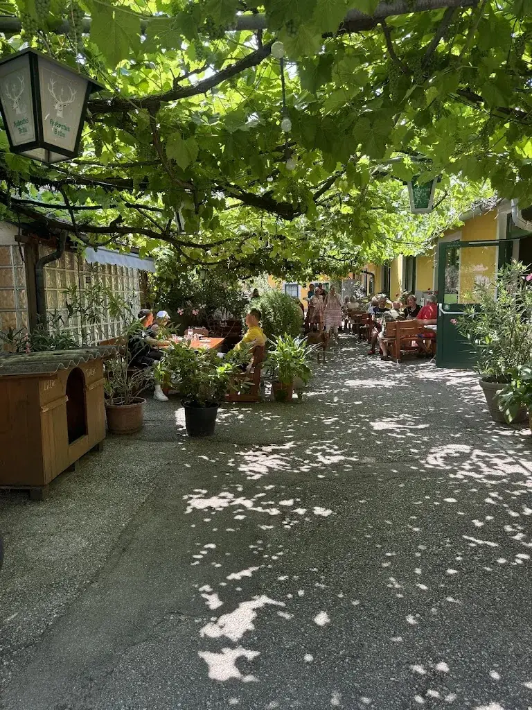 Heurigenlokal Fink_Neufeld an der Leitha_slider_image_3