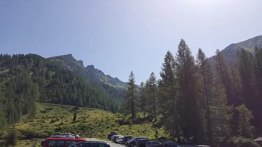 Klemen Smolej_Vögeialm_Forstau_avis