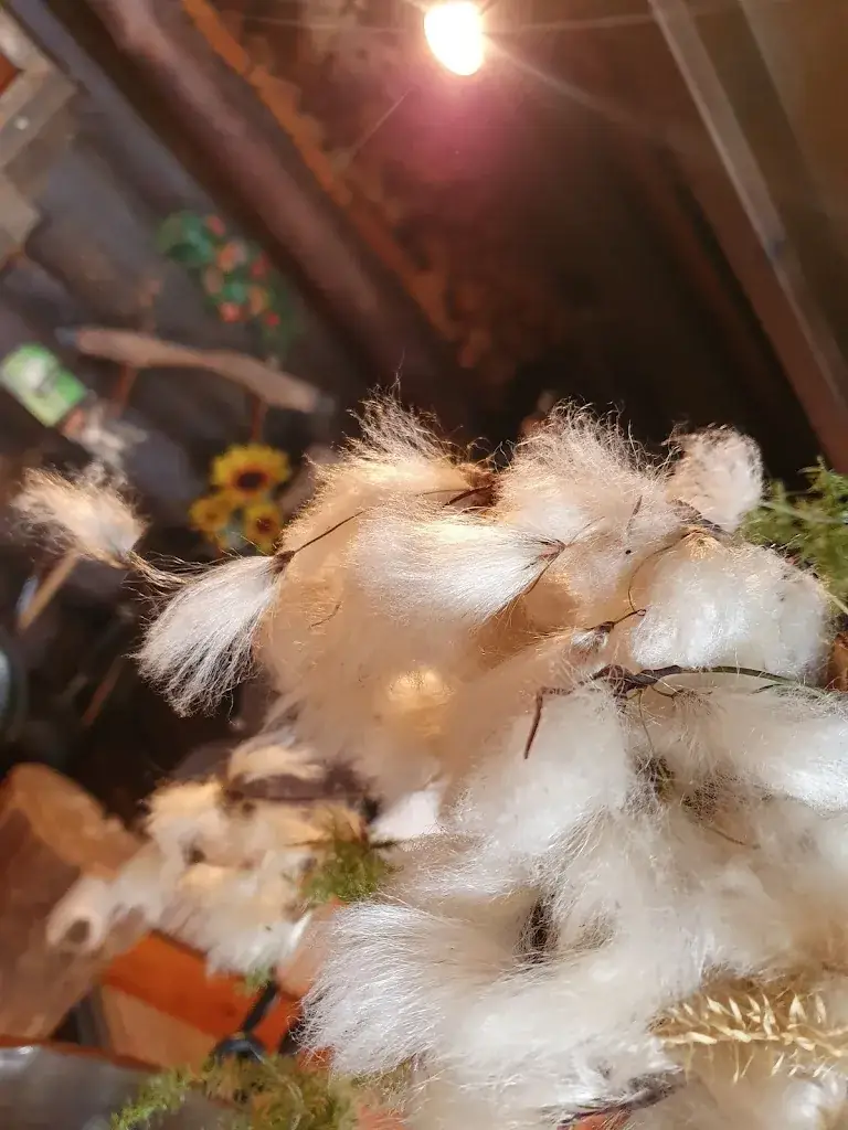 Markus_Lechneralm_Forstau_review