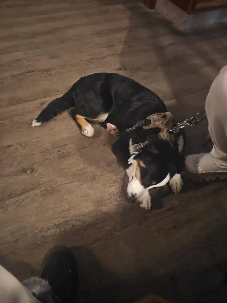 juan p_Familienhotel Unterreith_Forstau_recensione