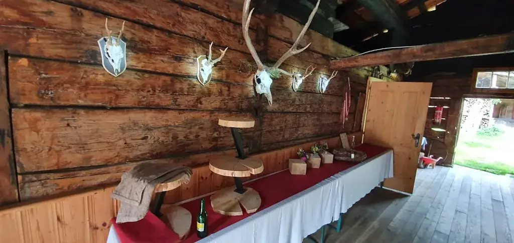 Barbara Pankl_Fallhausalm_Forstau_review