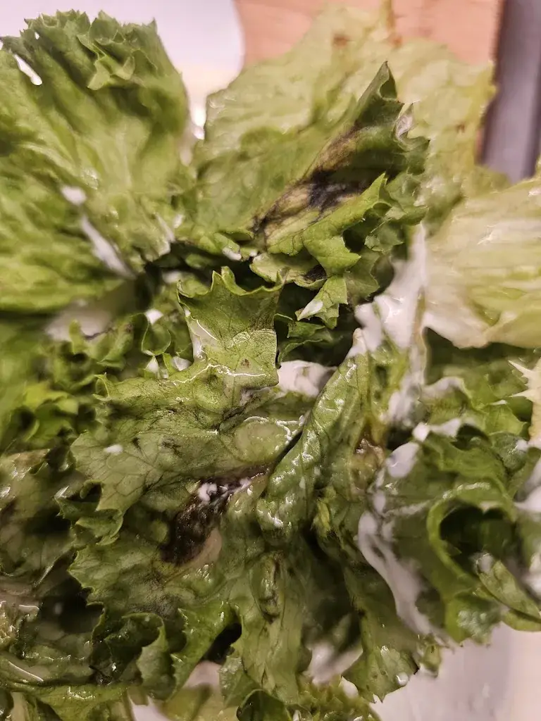 Susanne Hickel_Pizzeria La Strega_Neufeld an der Leitha_recensione