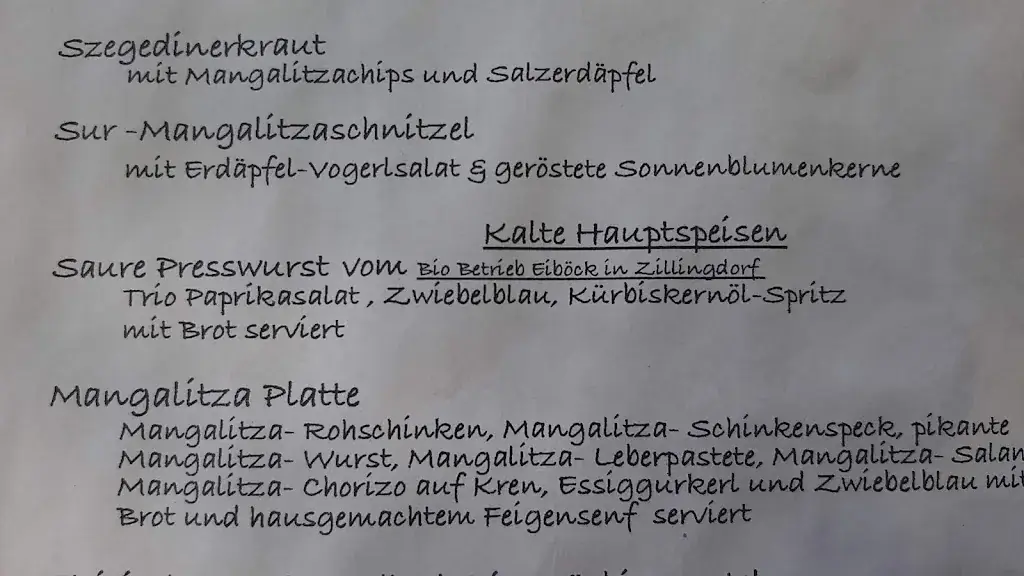 Menu_Heurigen-Restaurant Zua Oidn Hex_Neufeld an der Leitha_immagine_4