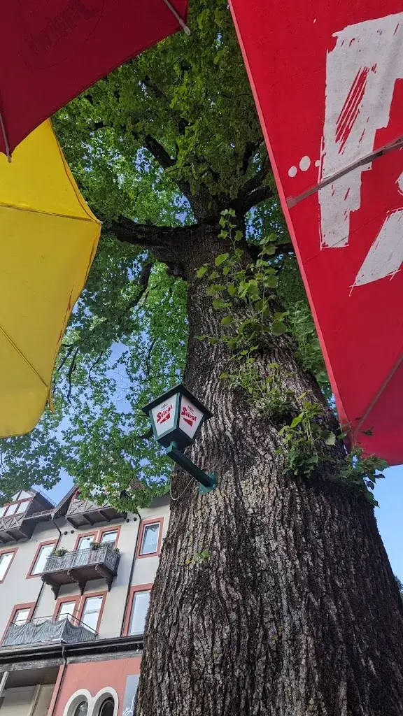 Matthieu Vermeulen_Gasthof zur Linde_Golling an der Salzach_review