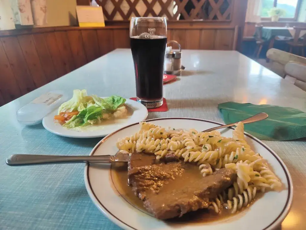 Netz Surfer_Gasthaus Brunnerwirt_Golling an der Salzach_Bewertung