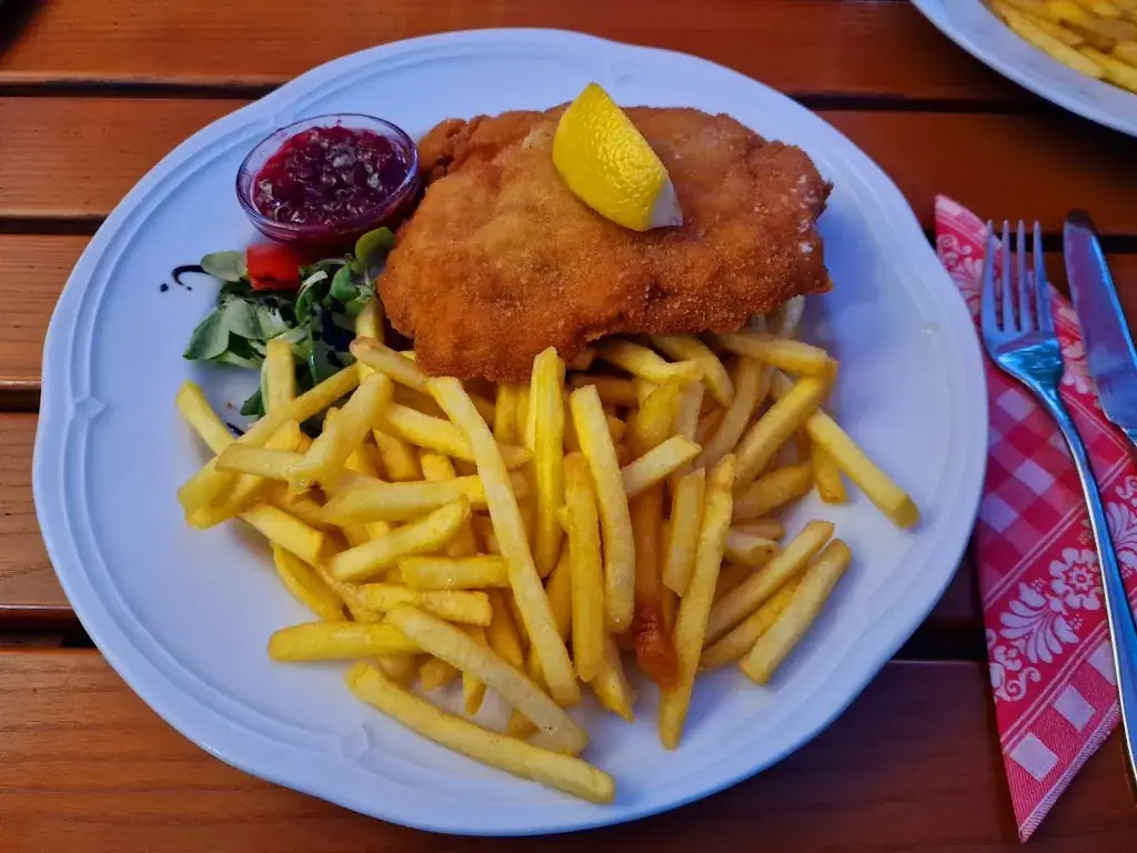 Menu_Gasthof Wagnerwirt_Golling an der Salzach_image_5