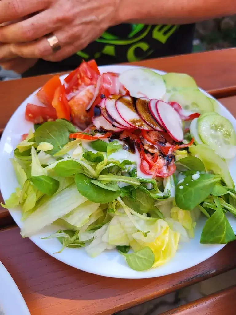 Menu_Gasthof Wagnerwirt_Golling an der Salzach_image_8