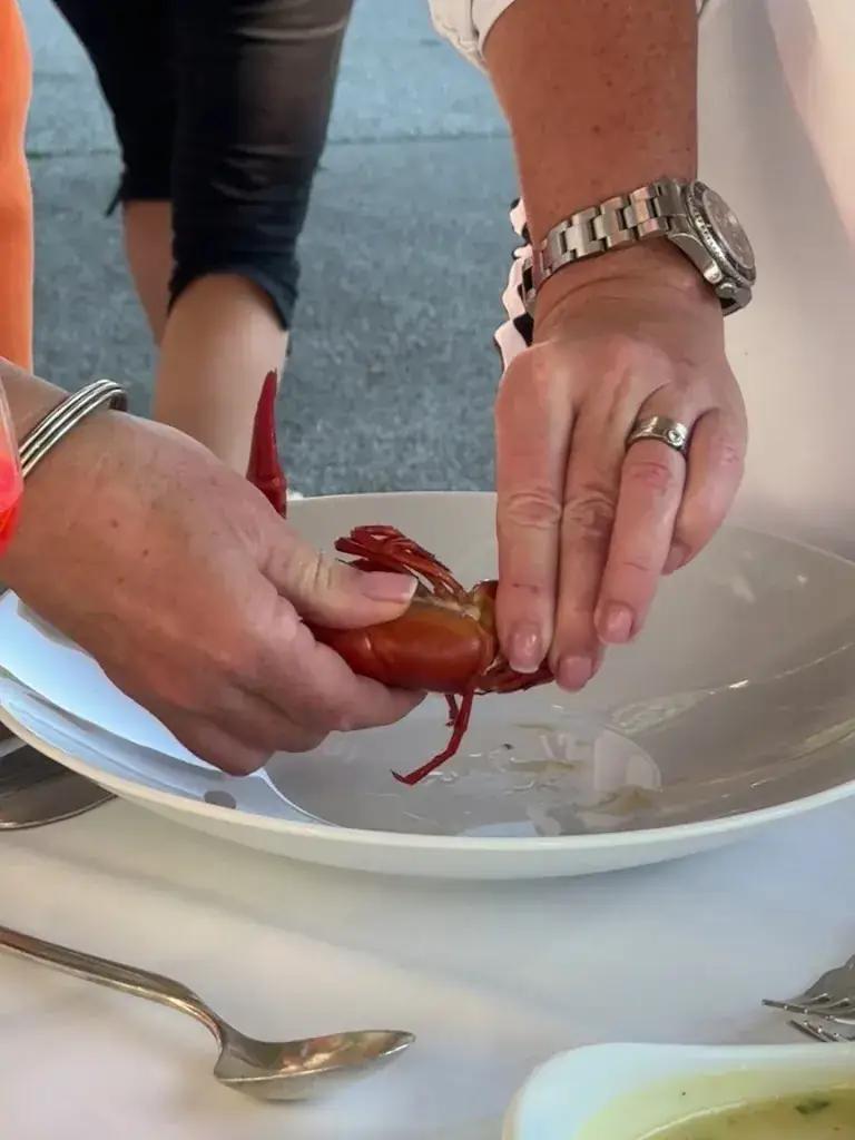 Andrew Goh_Seehotel Winkler GmbH_Henndorf am Wallersee_avis