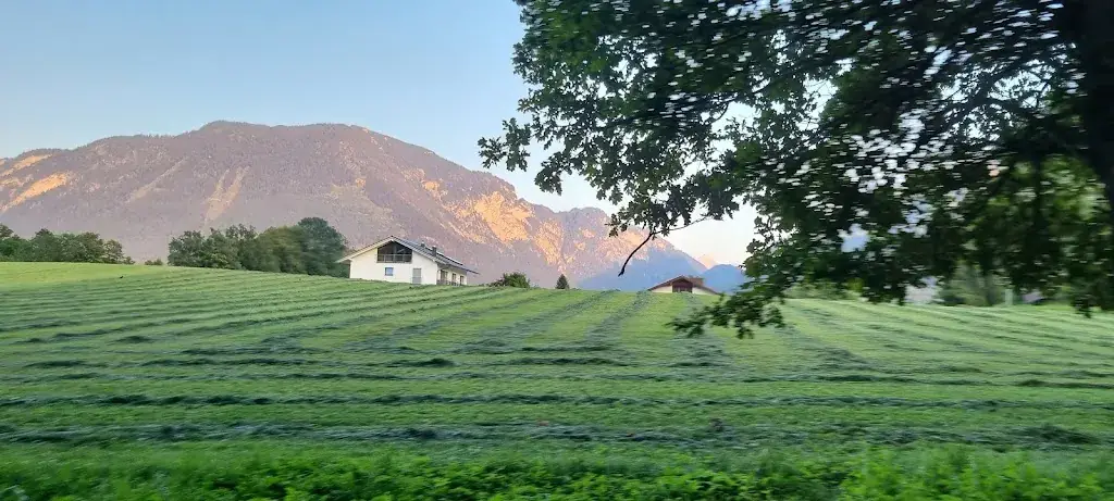 Z. CON GLANTZ_Restaurant Klosterhof Bayerisch Gmain_Grossgmain_review