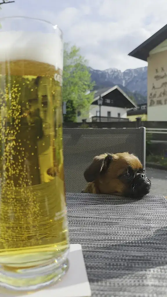 Cafe Restaurant Asissi-Stuben_Grossgmain_slider_image_2