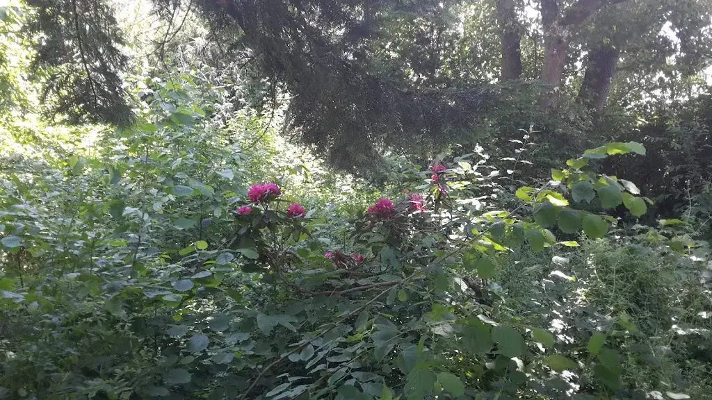 Gasthaus Schlögl-Dragschitz_Oberloisdorf_slider_image_2