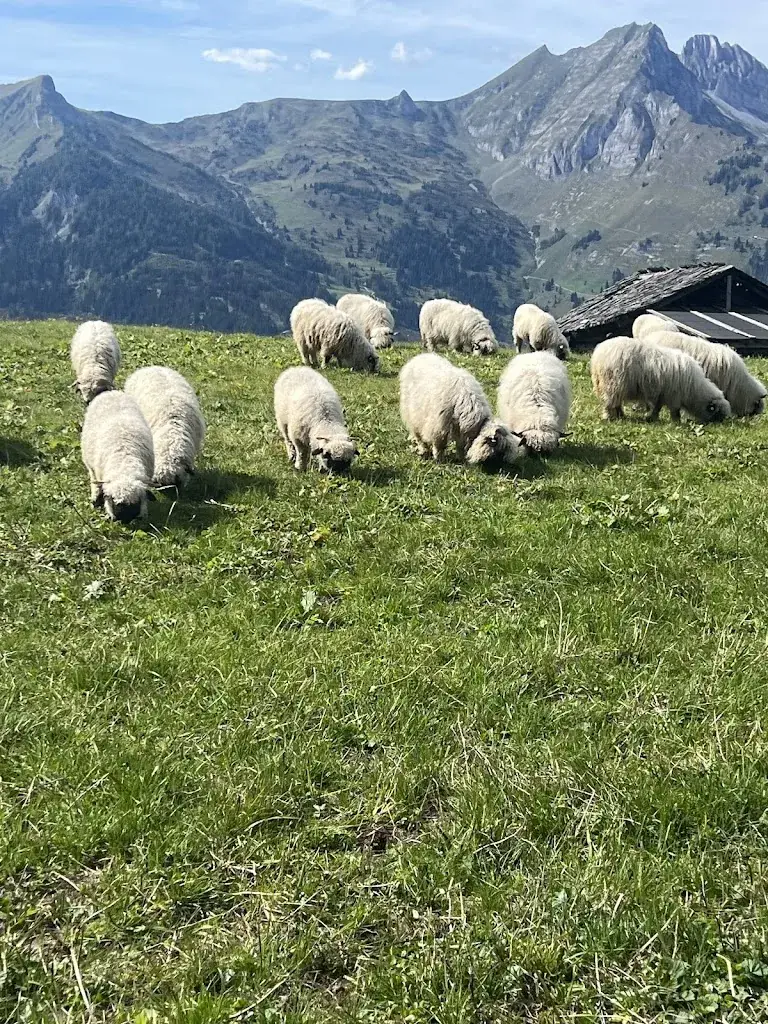 Harrison Brine_DAS EDELWEISS Salzburg Mountain Resort_Grossarl_recensione