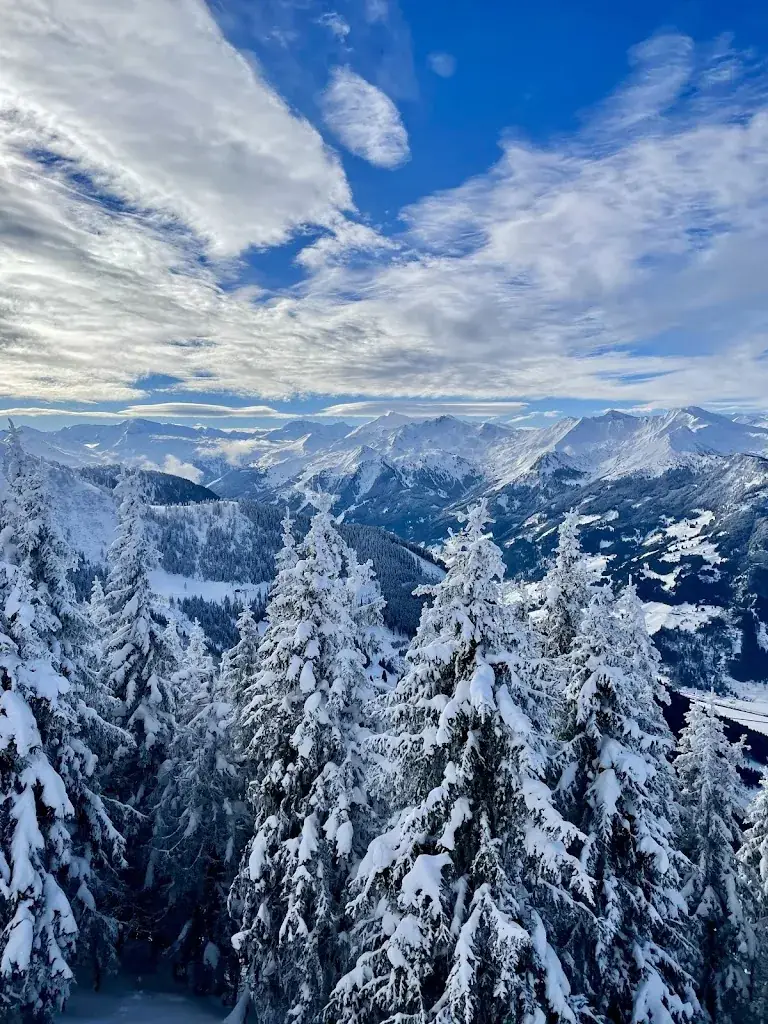 Herbert Stadler_Berg-Leben Hotel_Grossarl_avis
