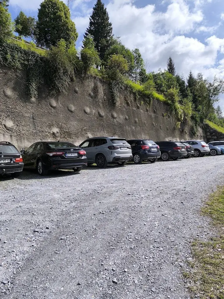 p e_Saukaralm_Grossarl_avis