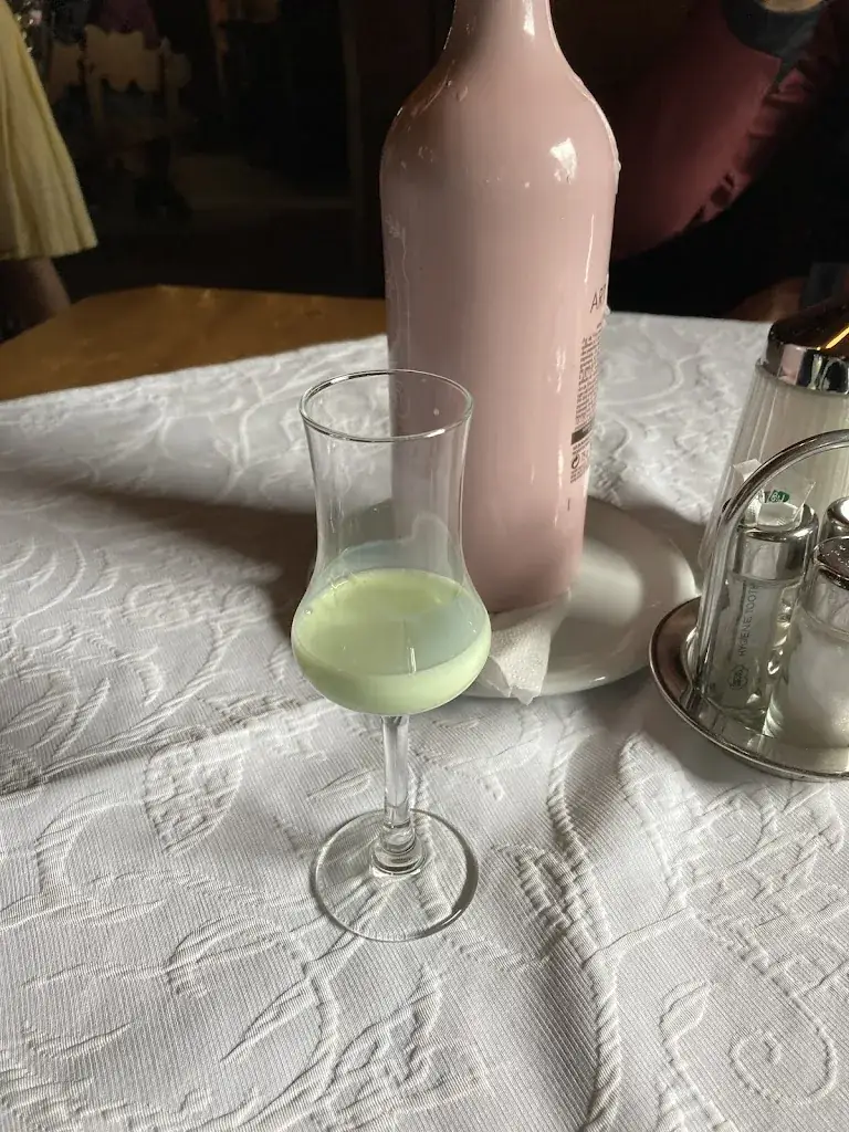 Virág Viktória_Panorama Alm_Hinterglemm_review