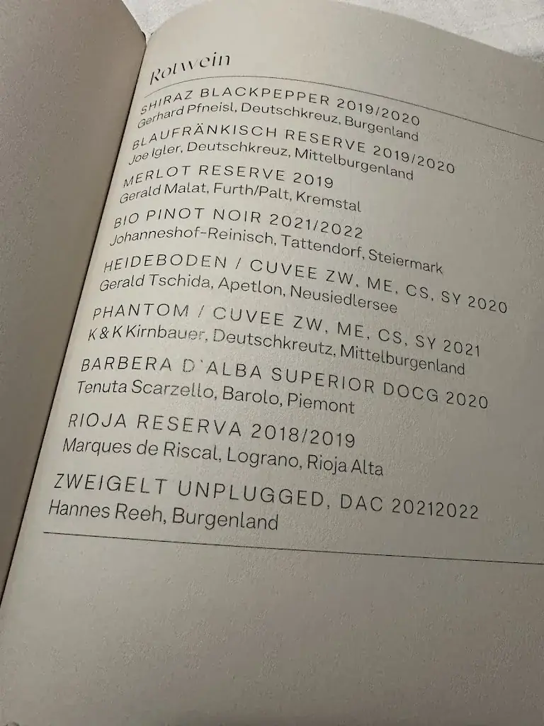 Pablo Villoslada Puigcerber_Spielberghaus Saalbach_Hinterglemm_review