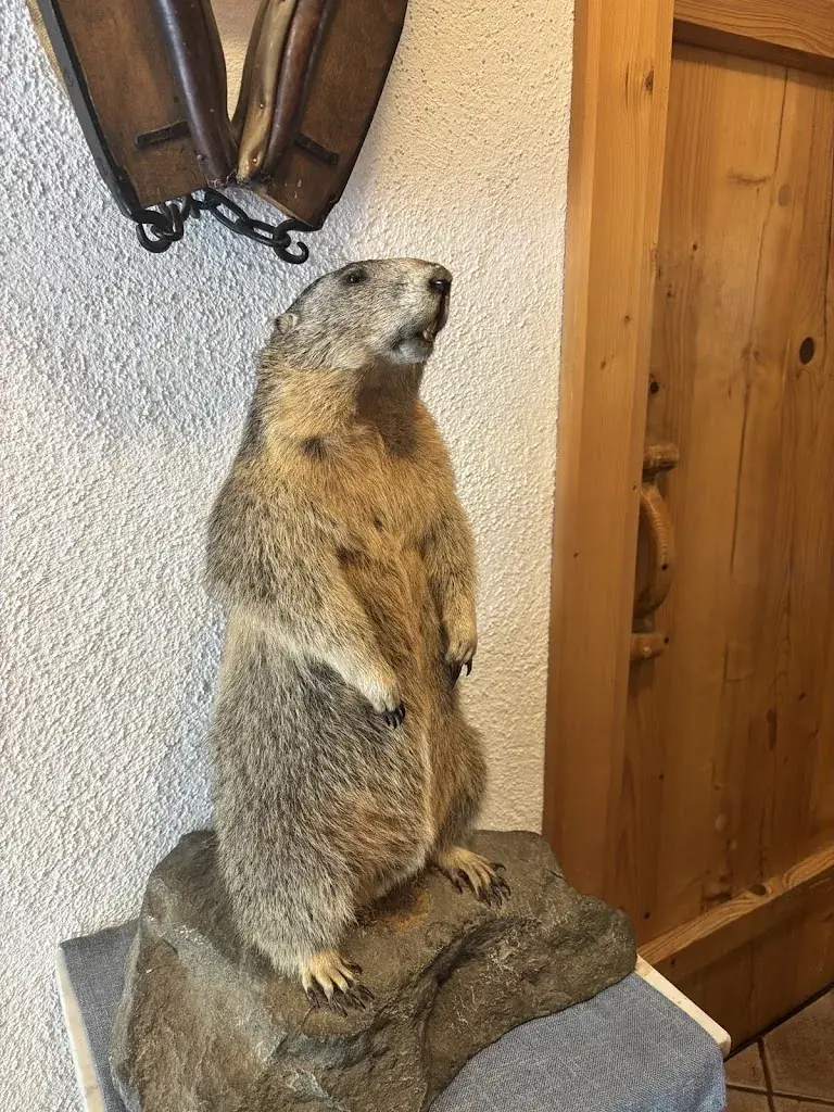 Denis F_Gasthof Sahnealm_Hollersbach im Pinzgau_review