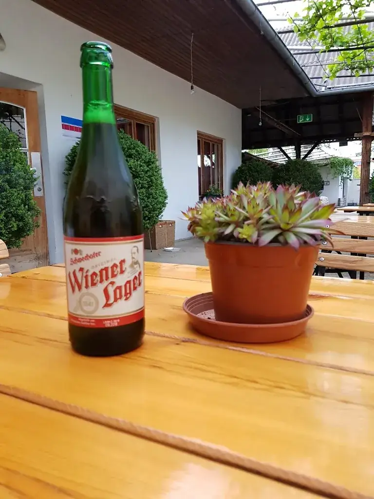 Menu_Cafe-Restaurant Jazzgalerie Hans Falb_Nickelsdorf_imagen_3