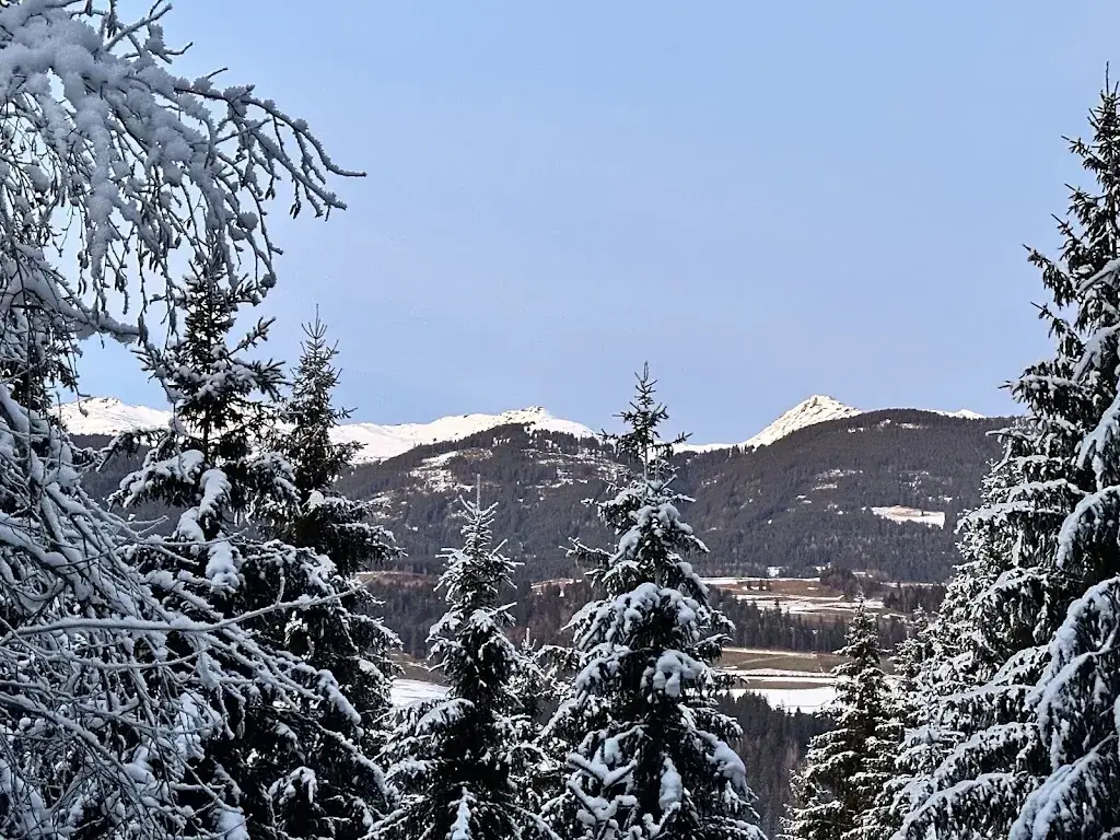 Adina Ghetiu_Kitzbuhel Alpen Pension | Accomodation in Hollersbach im Pinzgau, Salzburg_Hollersbach im Pinzgau_avis