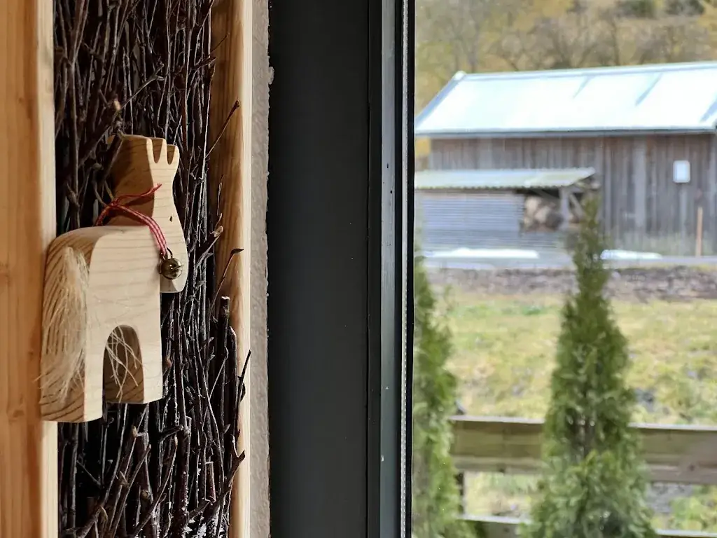 Оlga_Kitzbuhel Alpen Pension | Accomodation in Hollersbach im Pinzgau, Salzburg_Hollersbach im Pinzgau_avis