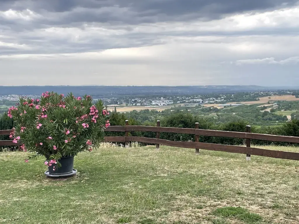 Sascha_Apfelweinstube im Himmelreich_Himmelreich_review