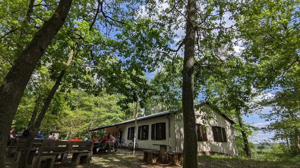 PWV Waldhaus Im Himmelreich_Himmelreich_slider_image_3