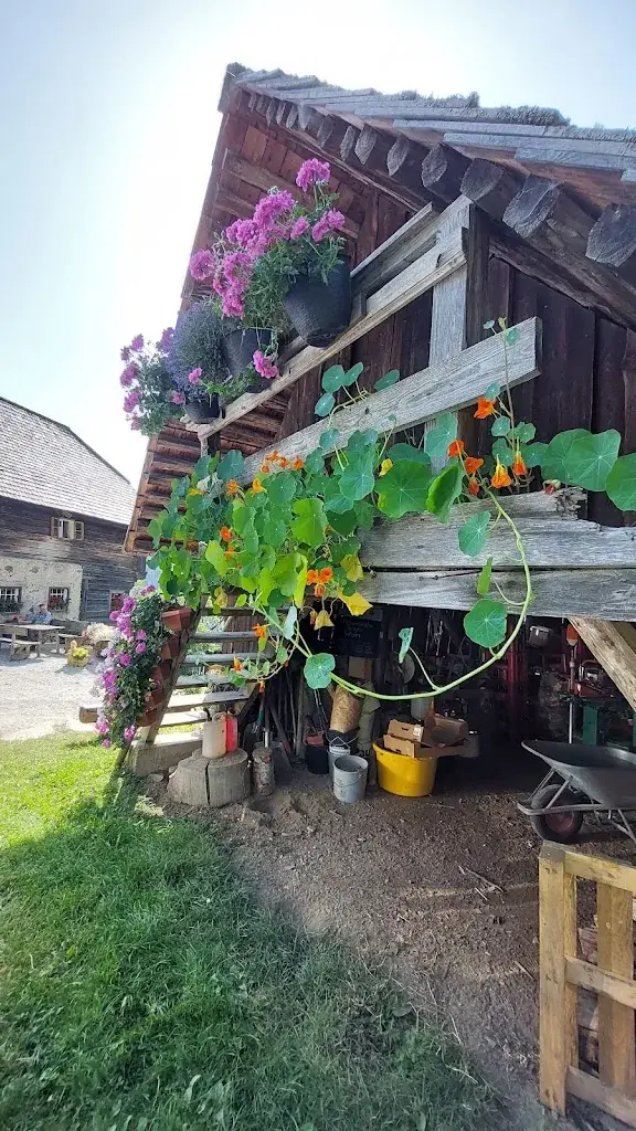 Zahnfee_Jausenstation Himmelreichbauer_Himmelreich_review