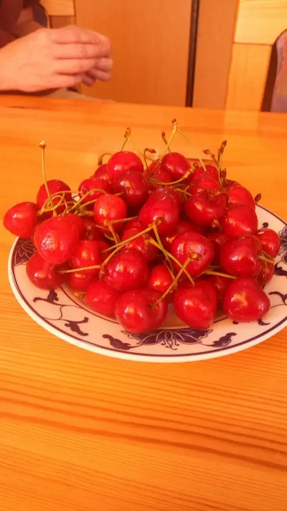 Maudy Alvi_MAI THANH LONG Asia Bistro Imbiss_Hof_Bewertung