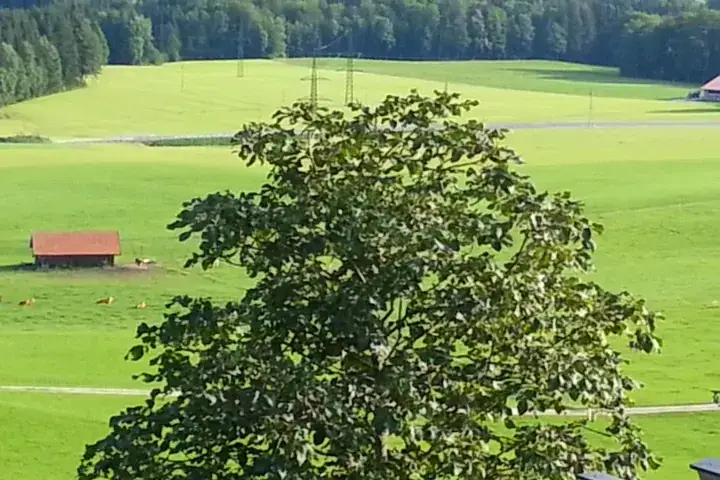 Hotel Am Riedl_Koppl_slider_image_2