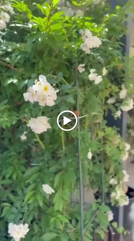 Ristorante Il Vulcano_Neudörfl_slider_image_2