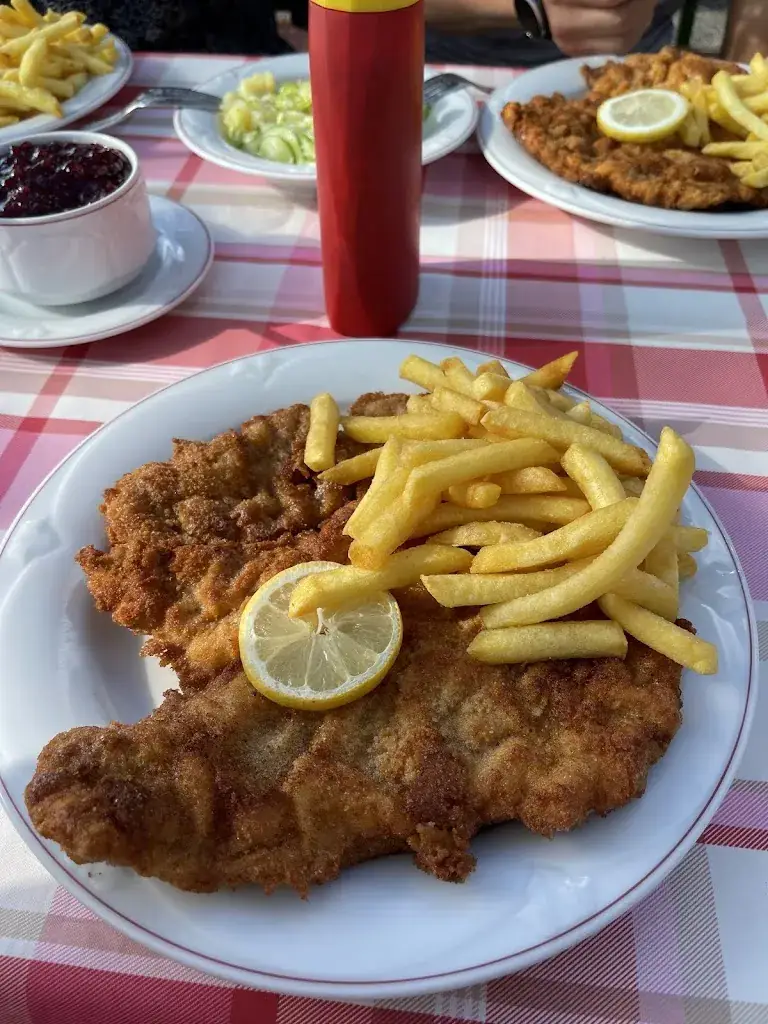 Daniel Triana_Gasthaus Alpenrose_Krispl_review