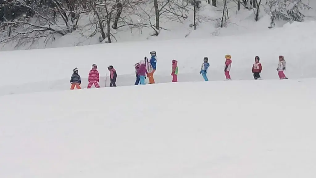 Christian Vogl_Gasthaus Alpenblick_Krispl_recensione