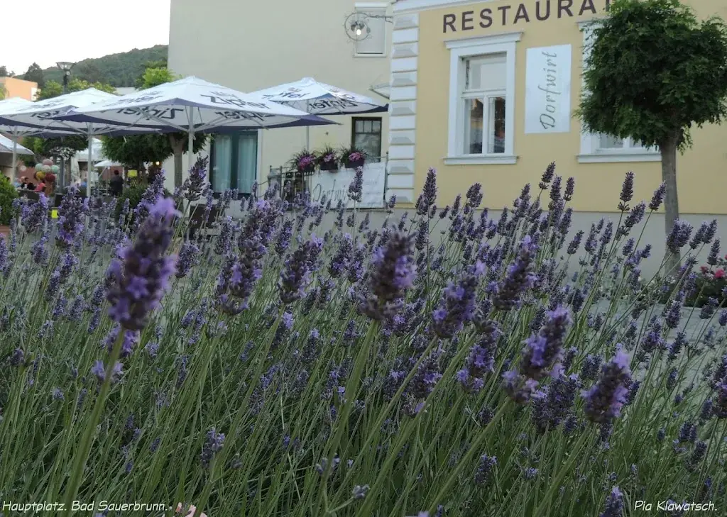 Dorfwirt_Neudörfl_slider_image_3