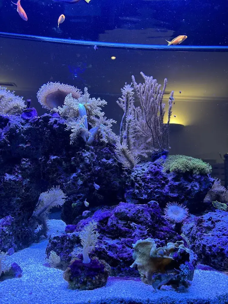 John Gregory_WOK_Lengfelden_review