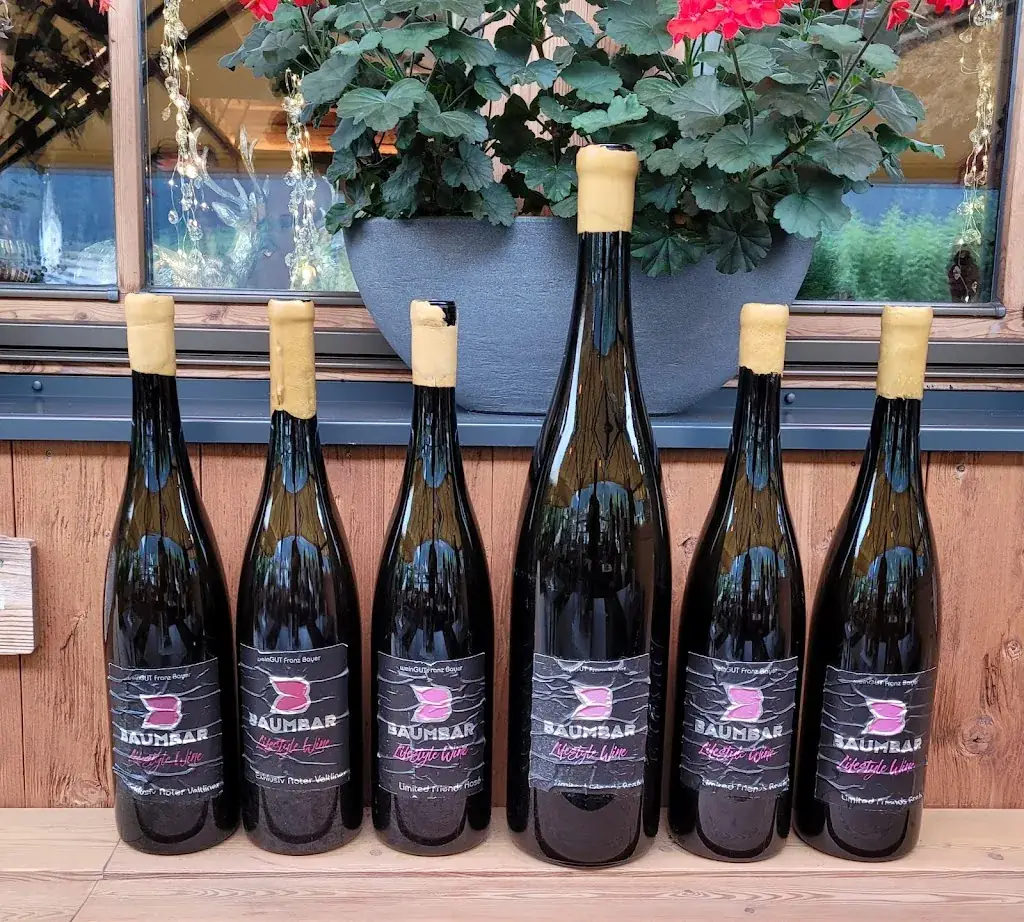 Menu_Baumbar_Kaprun_image_9