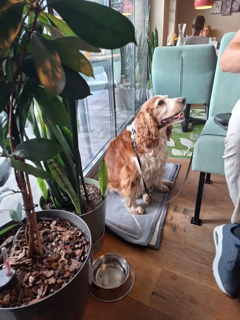 Niels Bos_Restaurant Luis Gardens_Kaprun_review