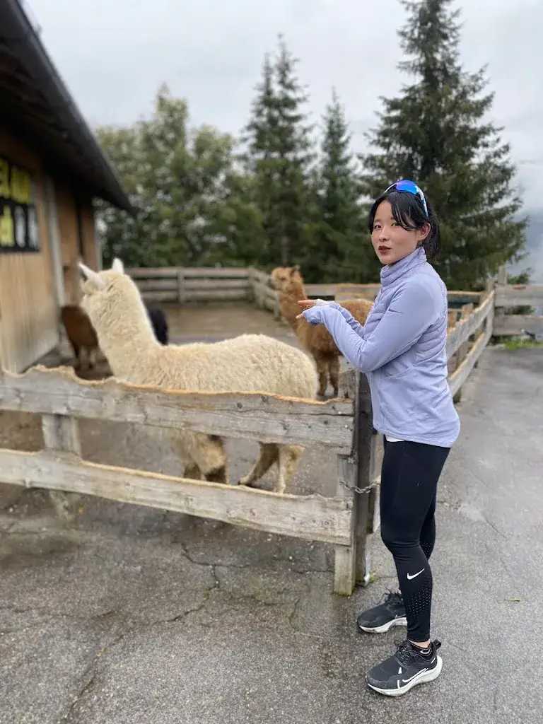 Sujin Lee_Maiskogel Alm Ranch_Kaprun_review